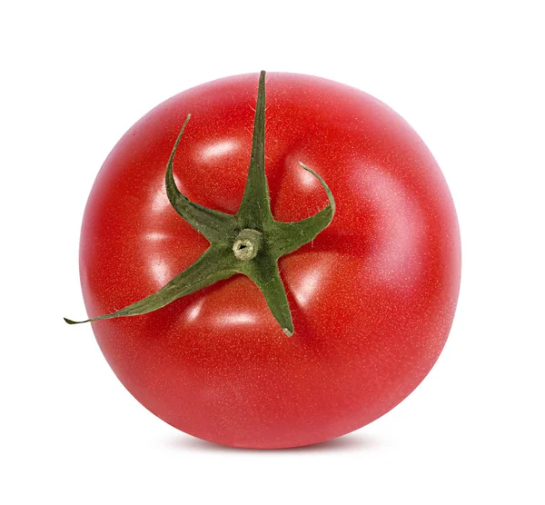 Tomato Isolated White Background — Stock Photo, Image