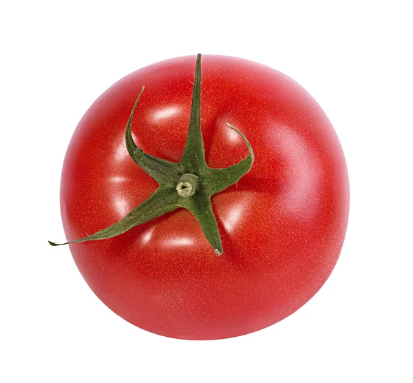 Tomate Aislado Sobre Fondo Blanco — Foto de Stock