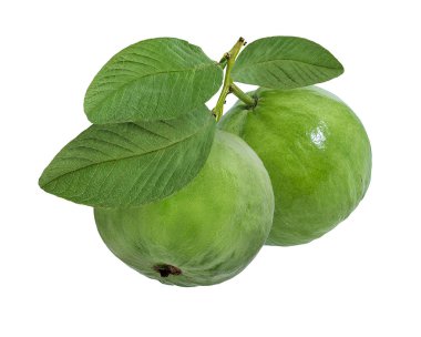 Guava beyaz arkaplanda izole edildi