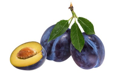 Beyaz arkaplanda erik