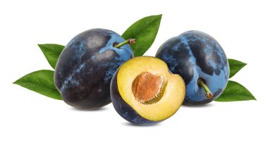 Beyaz arkaplanda erik