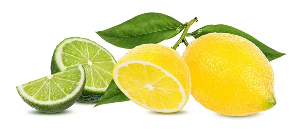 Fresh Lemon Lime Isolated White Background — Stock Photo, Image