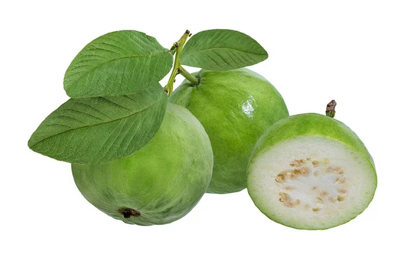 Guayaba Aislada Sobre Fondo Blanco — Foto de Stock