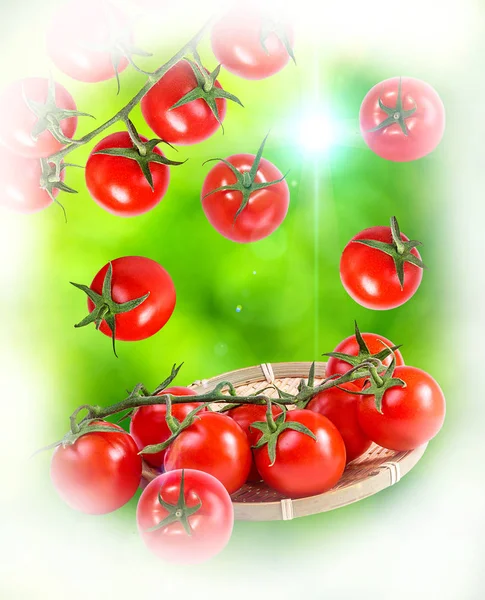 Tomate Saudável Orgânico Vermelho Fundo Natural — Fotografia de Stock