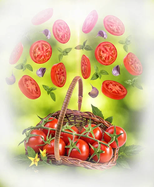 Pomodoro Sano Rosso Biologico Background Naturale — Foto Stock