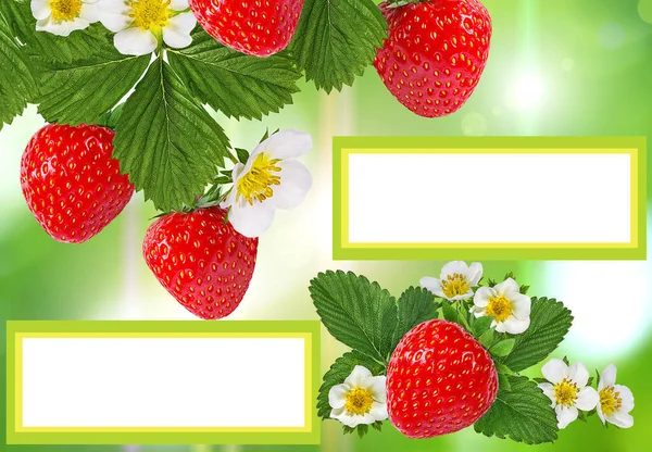 Fruits frame background space for text,frame of strawberries, berries and flowers