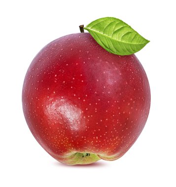 beyaz arkaplanda elma