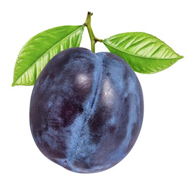 Beyaz arkaplanda erik