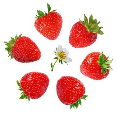 Çilek beyaz arkaplanda izole edildi