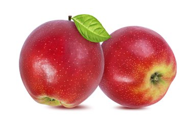 beyaz arkaplanda elma