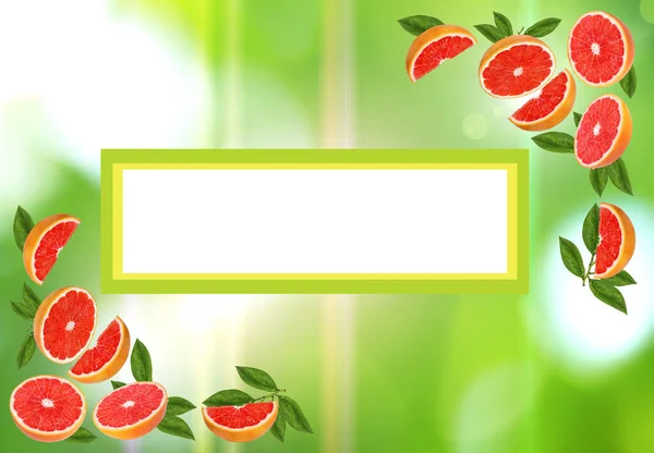水果框架 柑橘框架 文本的背景空间 夏季卡片 — 图库照片