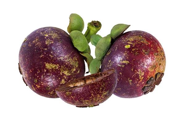 Mangosteen Απομονωμένο Λευκό Φόντο — Φωτογραφία Αρχείου