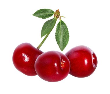 Beyaz zemin üzerinde yaprak izole taze kiraz