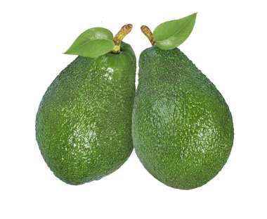 avokado beyaz arkaplanda izole edildi