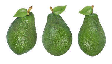 avokado beyaz arkaplanda izole edildi