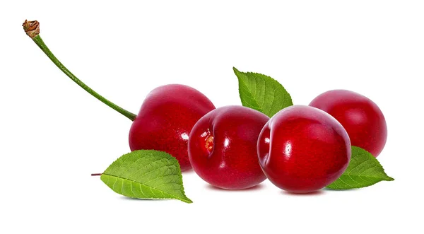 Cherry Segar Dengan Daun Terisolasi Pada Latar Belakang Putih — Stok Foto