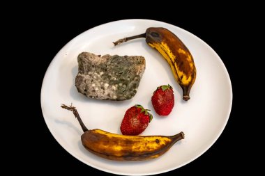 Şımarık, eski küflü yiyecekler beyaz yuvarlak tabakta.