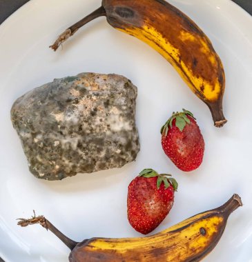 Şımarık, eski küflü yiyecekler beyaz yuvarlak tabakta.