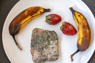 Şımarık, eski küflü yiyecekler beyaz yuvarlak tabakta.