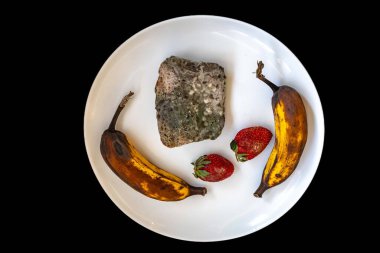 Şımarık, eski küflü yiyecekler beyaz yuvarlak tabakta.