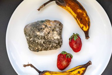 Şımarık, eski küflü yiyecekler beyaz yuvarlak tabakta.