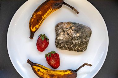 Şımarık, eski küflü yiyecekler beyaz yuvarlak tabakta.