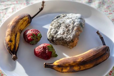 Şımarık, eski küflü yiyecekler beyaz yuvarlak tabakta.