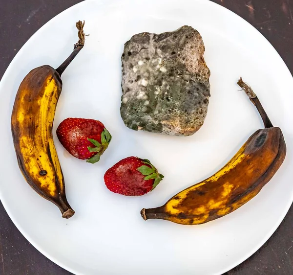 Şımarık, eski küflü yiyecekler beyaz yuvarlak tabakta.