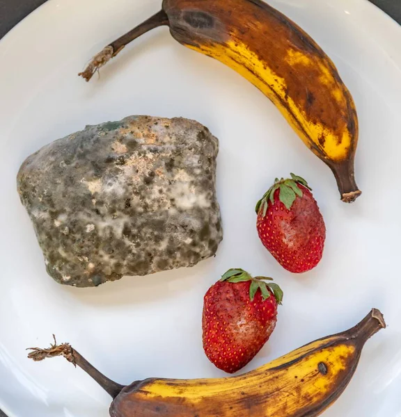 Şımarık, eski küflü yiyecekler beyaz yuvarlak tabakta.