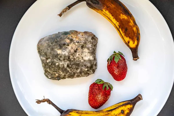 Şımarık, eski küflü yiyecekler beyaz yuvarlak tabakta.