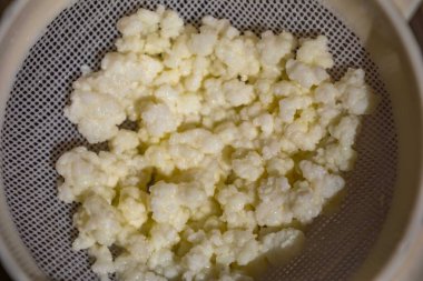 Kefir taneleri Kafkasya Dağları 'ndan gelir. Maya ve mayalanan bakterilerden oluşan doğal probiyotik