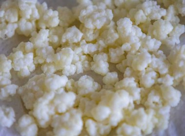 Kefir taneleri Kafkasya Dağları 'ndan gelir. Maya ve mayalanan bakterilerden oluşan doğal probiyotik