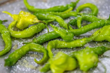 Shishito biber kapsicum Annuum japonsea, veya Japon tatlı biberi, baharatlı ve çok lezzetli değil.