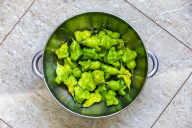 Cambuci biber biberi, çan şeklinde yeşil biber, çok az ısıtılmış ve çok lezzetli..