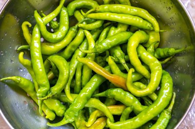 Shishito biber kapsicum Annuum japonsea, veya Japon tatlı biberi, baharatlı ve çok lezzetli değil.