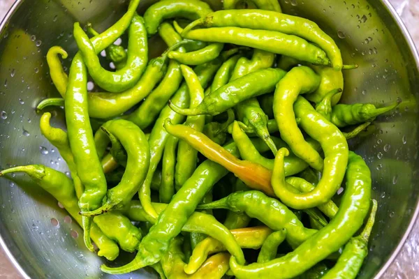 Shishito biber kapsicum Annuum japonsea, veya Japon tatlı biberi, baharatlı ve çok lezzetli değil.