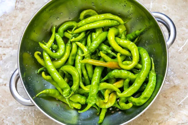 Shishito biber kapsicum Annuum japonsea, veya Japon tatlı biberi, baharatlı ve çok lezzetli değil.