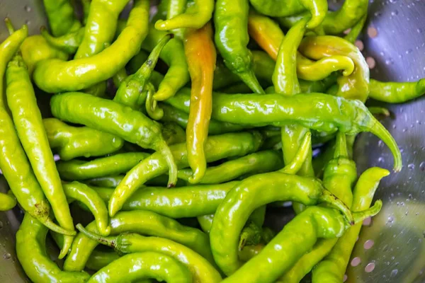 Shishito biber kapsicum Annuum japonsea, veya Japon tatlı biberi, baharatlı ve çok lezzetli değil.