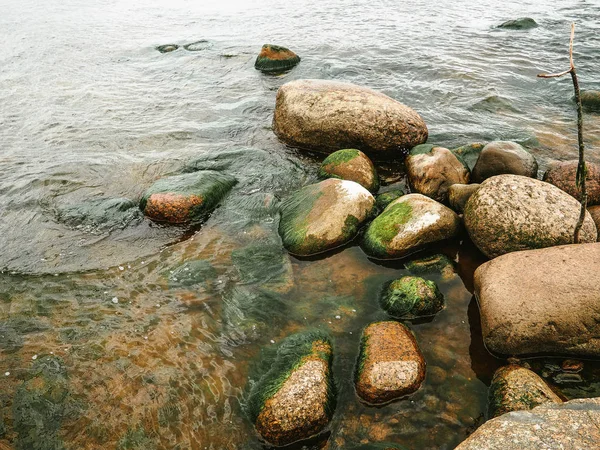 Grandes pierres dans la boue verte dans l'eau . — Photo