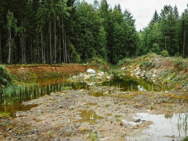 Terk edilmiş bir taş ocağı su ve taş ile bak. Orman