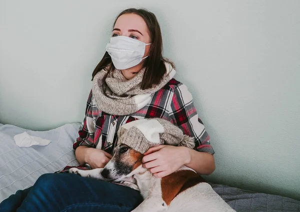 Eine junge Frau in medizinischer Maske und Streicheln eines Hundes leidet zu Hause an Allergien lizenzfreie Stockfotos