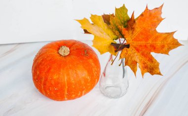 Balkabağı beyaz bir arka planda ile sonbahar yaprakları