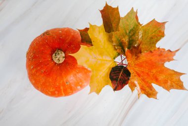 Balkabağı beyaz bir arka planda ile sonbahar yaprakları