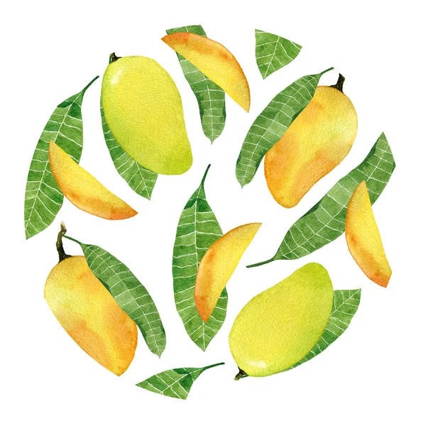 Akwarela żółta odznaka z owocami mango na białym tle. — Zdjęcie stockowe
