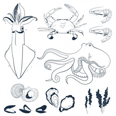 Deniz ürünleri el çizilmiş elemanları seti.