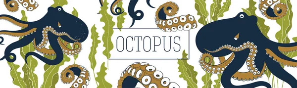 Octopus and kelp banner vector template. Hand drawn illustration on white background. — Stock Vector