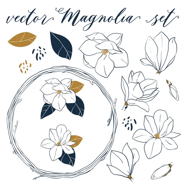 Conjunto Vector Magnolia. Elementos botânicos desenhados à mão em estilo de arte de linha . —  Vetores de Stock