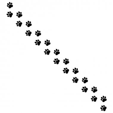 Beyaz arka planda izole edilmiş pençe baskı vektörü