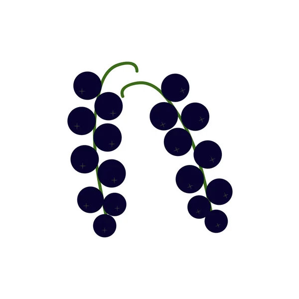 Vektor svartvinbärs ikon isolerad på vit bakgrund — Stock vektor