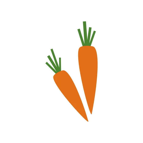 Ícone vetorial de cenouras isolado no fundo branco — Vetor de Stock